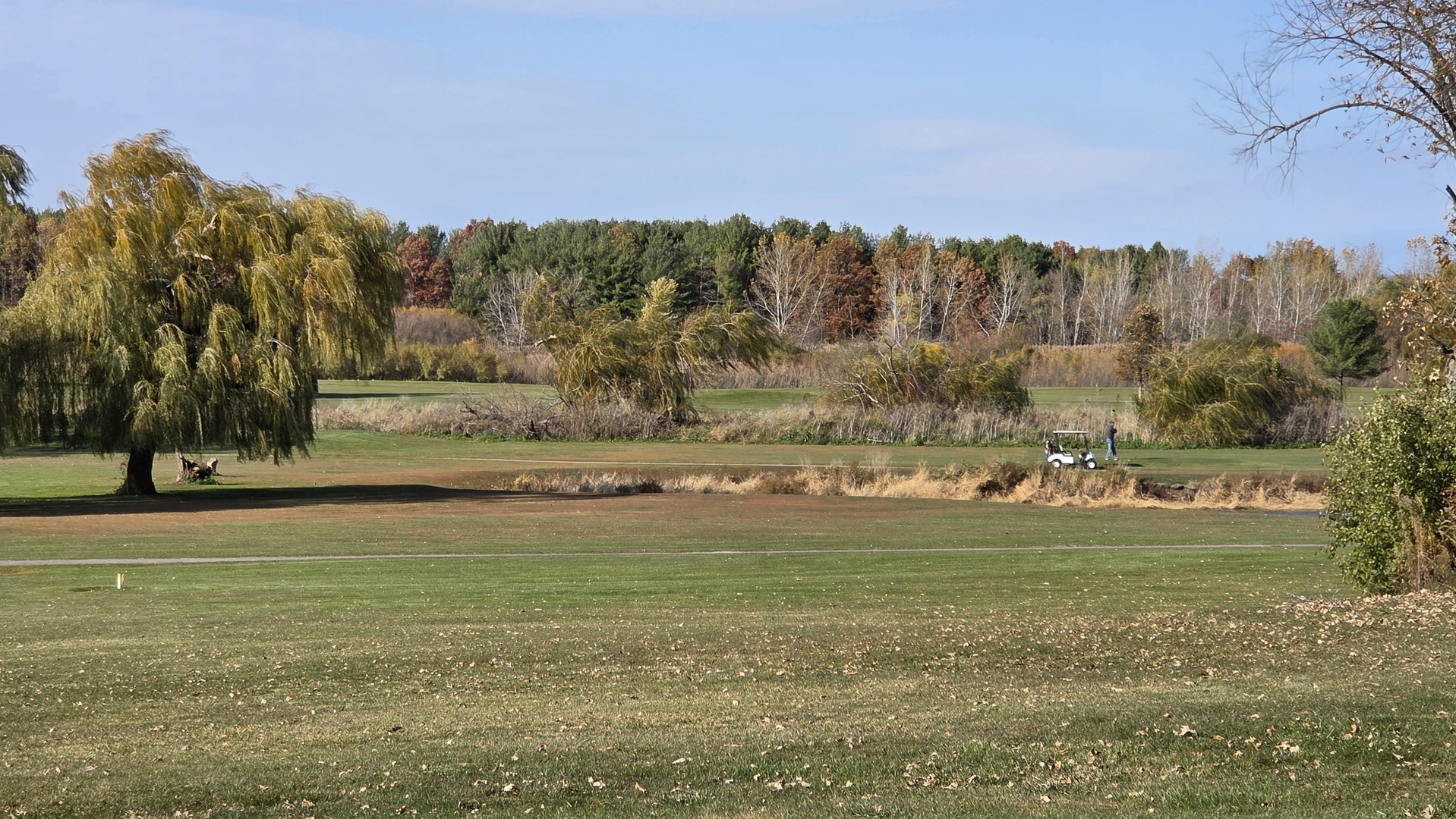 280 Sunset Boulevard Beecher, IL 60401 - Photo 35 of 48 a view of a field with an trees