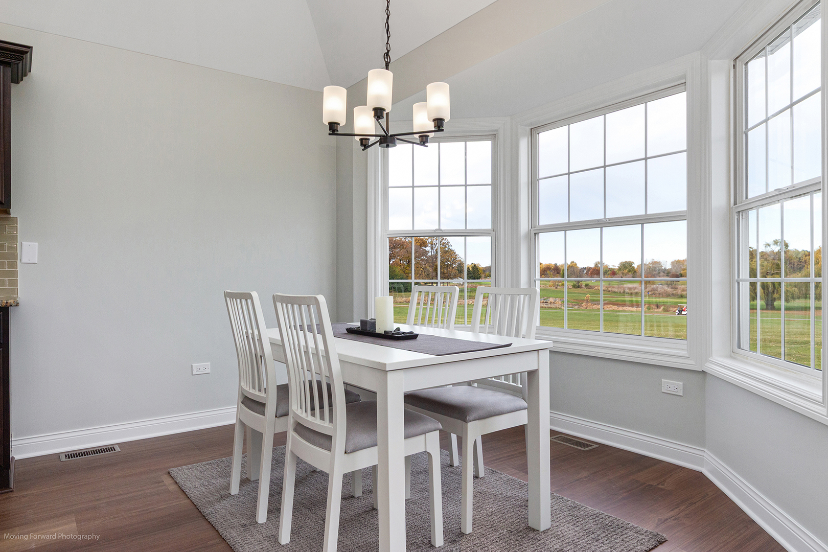 280 Sunset Boulevard Beecher, IL 60401 - Photo 10 of 48 a view of a dining room with furniture a chandelier and wooden floor