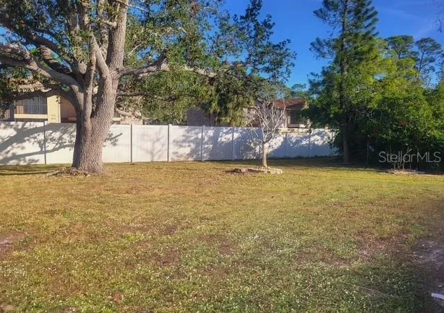 a view of a yard with a tree