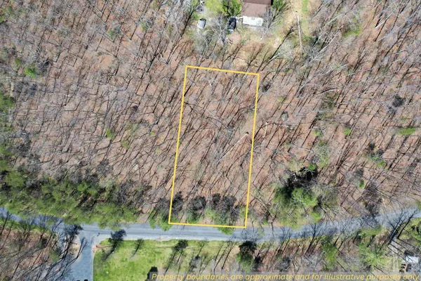 $20,000 | Lot 6 Moreland Gap Road, Mount Jackson, VA 22842