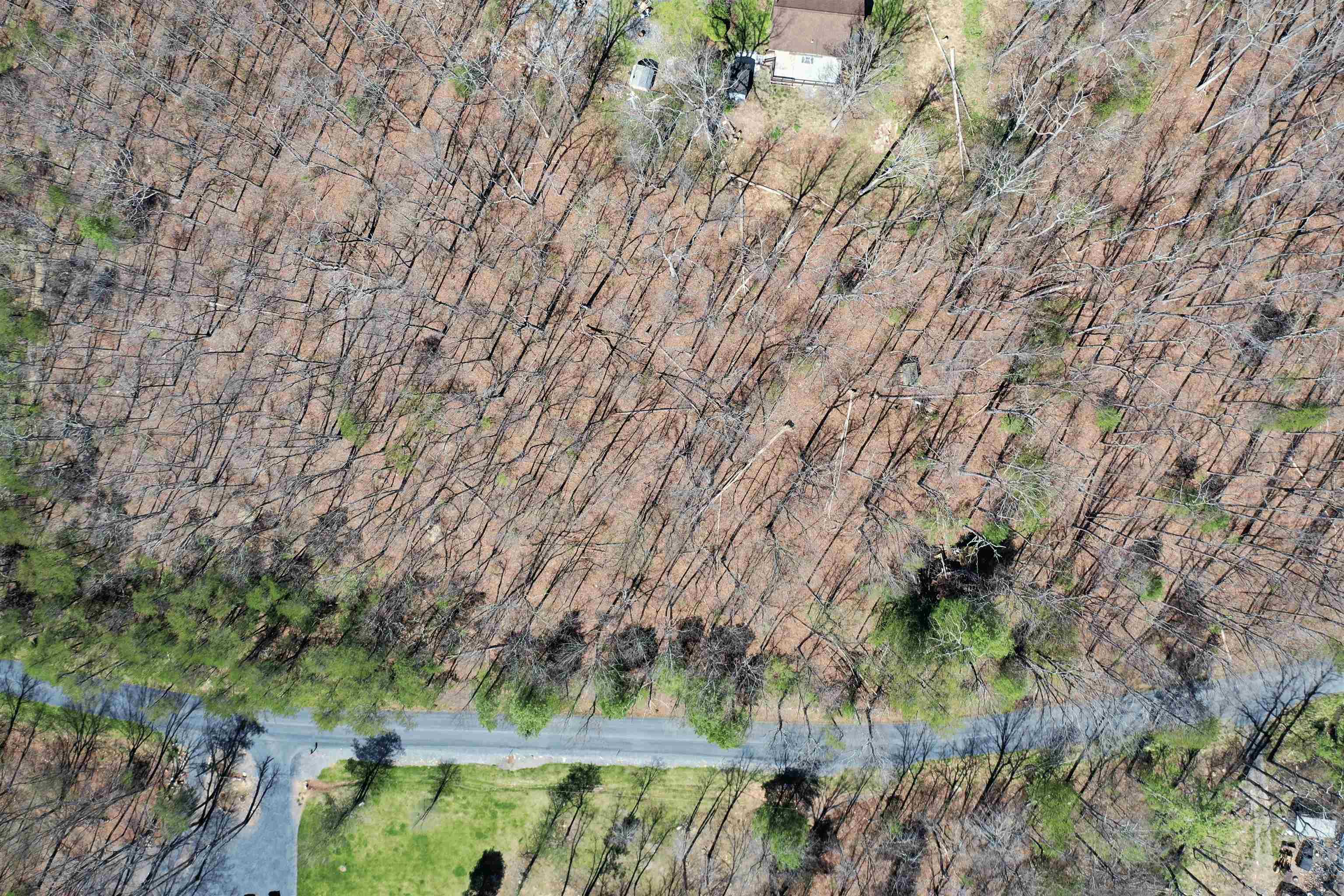 Lot 6 Moreland Gap Road Mount Jackson, VA 22842 - Photo 6 of 7