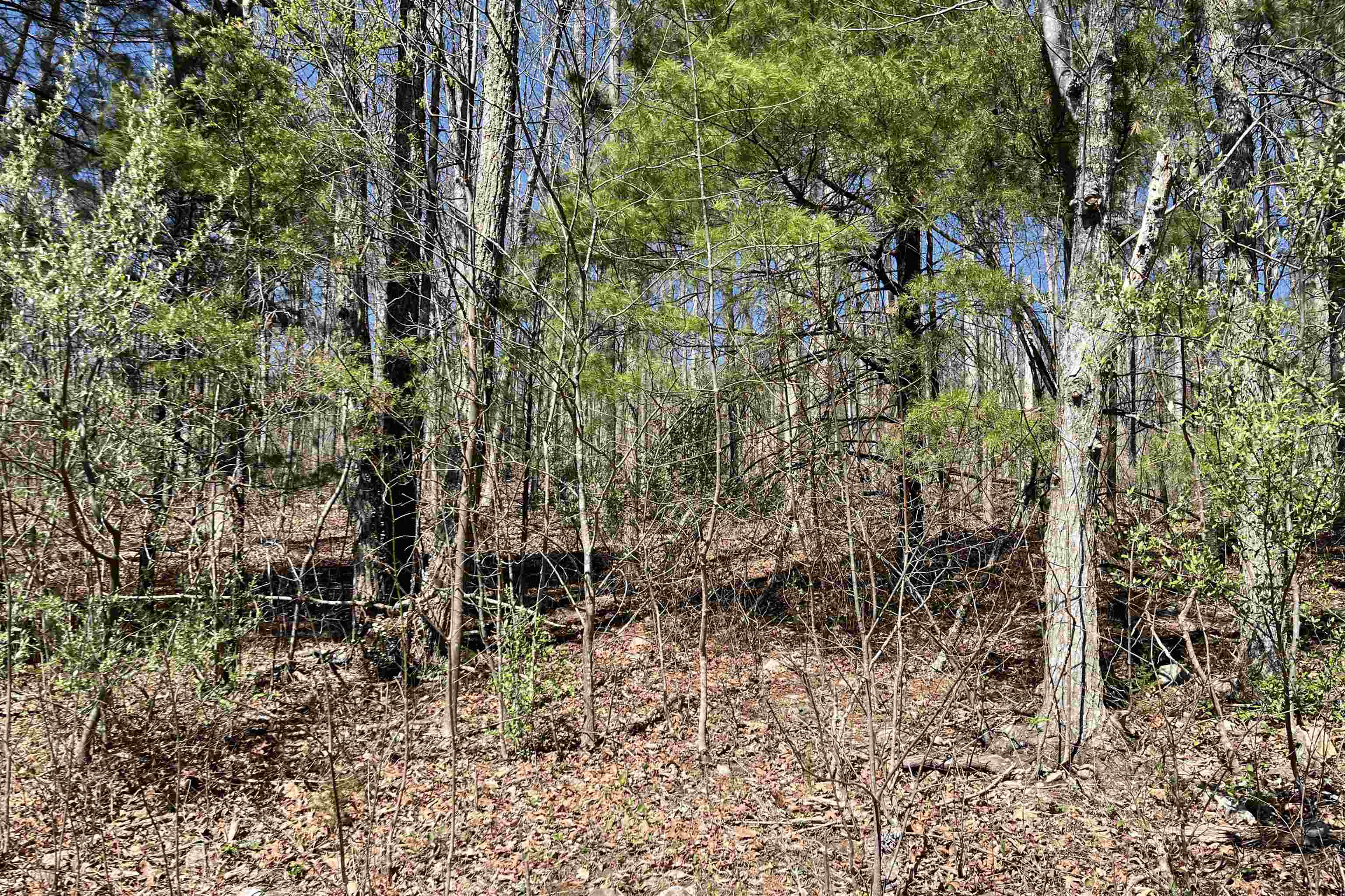 Lot 6 Moreland Gap Road Mount Jackson, VA 22842 - Photo 7 of 7