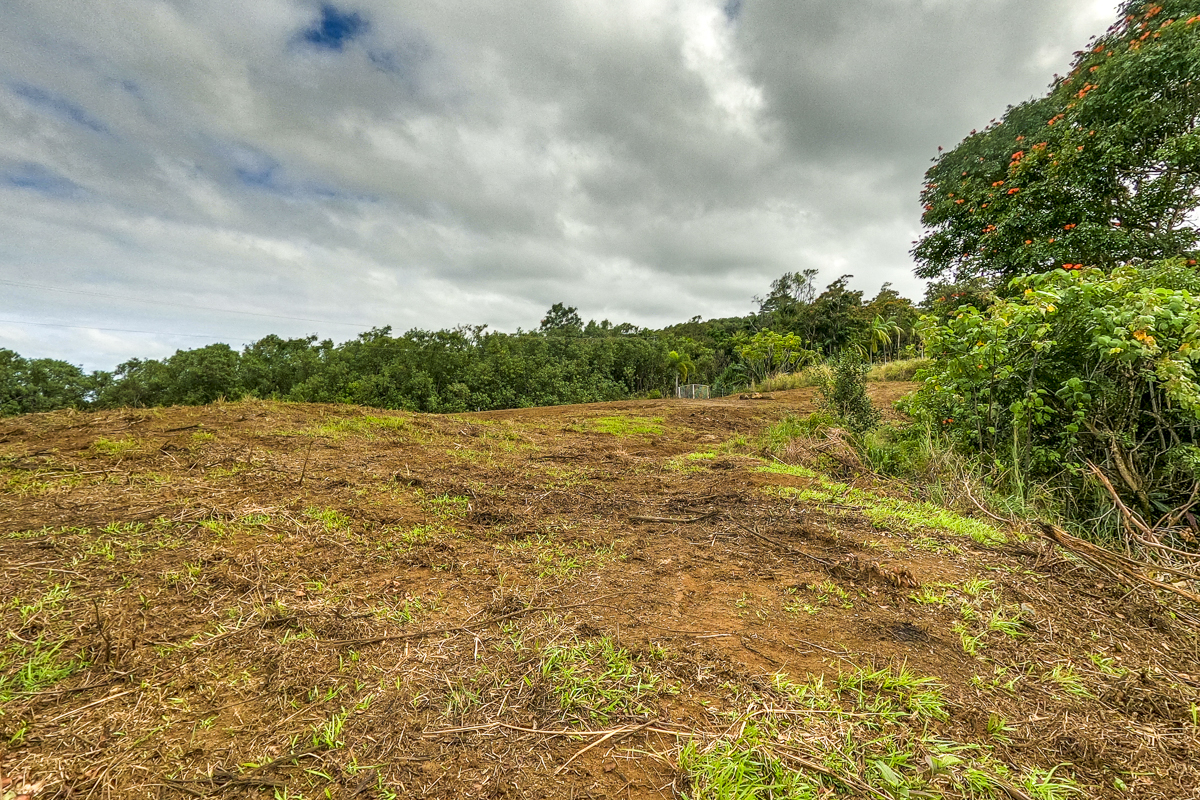 32-360 Lot 1-b Kapena Road Ninole, HI 96773 - Photo 13 of 29 a view of a lake view