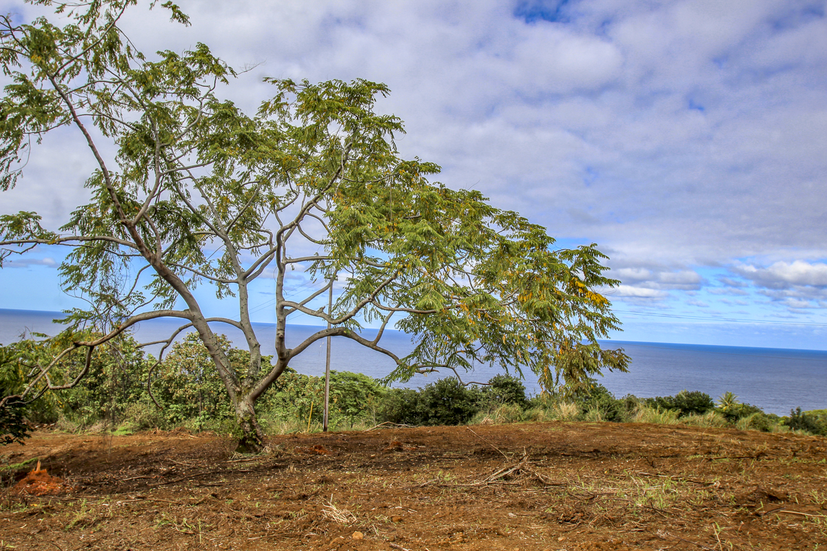 32-360 Lot 1-b Kapena Road Ninole, HI 96773 - Photo 17 of 29 a backyard of a house with lots of green space