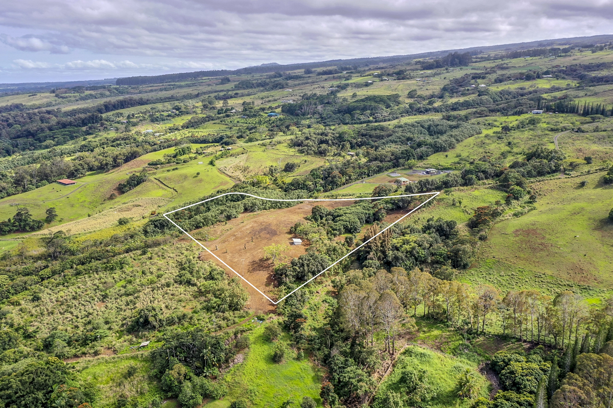 32-360 Lot 1-b Kapena Road Ninole, HI 96773 - Photo 18 of 29 a view of a garden with an ocean