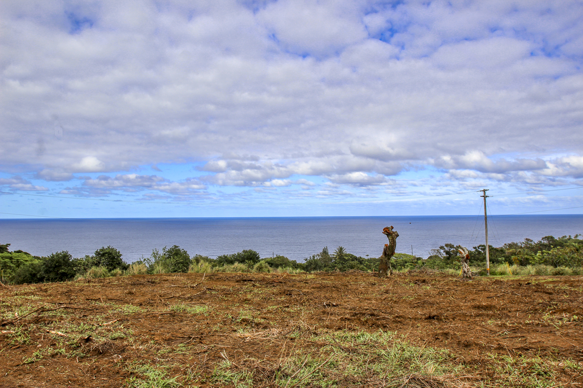 32-360 Lot 1-b Kapena Road Ninole, HI 96773 - Photo 19 of 29