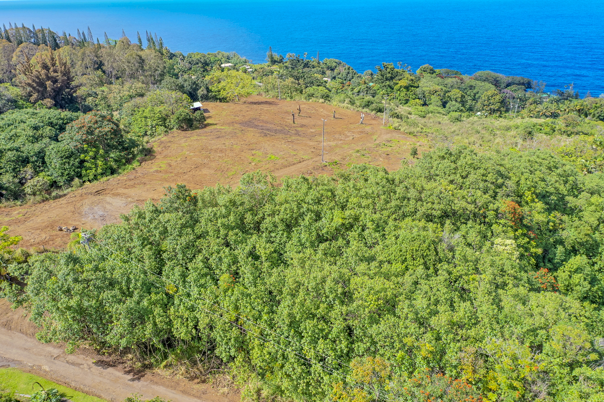 32-360 Lot 1-b Kapena Road Ninole, HI 96773 - Photo 20 of 29 a view of a large yard with lots of green space
