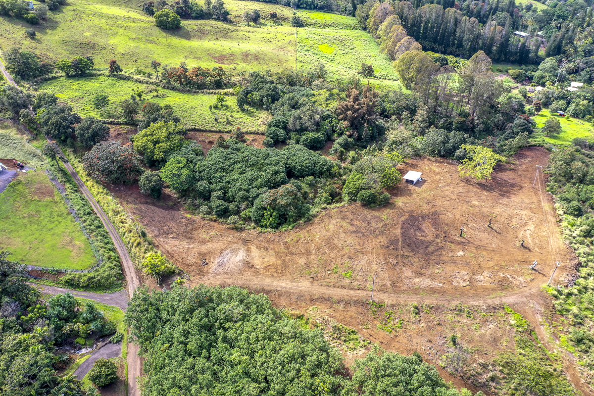 32-360 Lot 1-b Kapena Road Ninole, HI 96773 - Photo 2 of 29 a view of a garden with an ocean