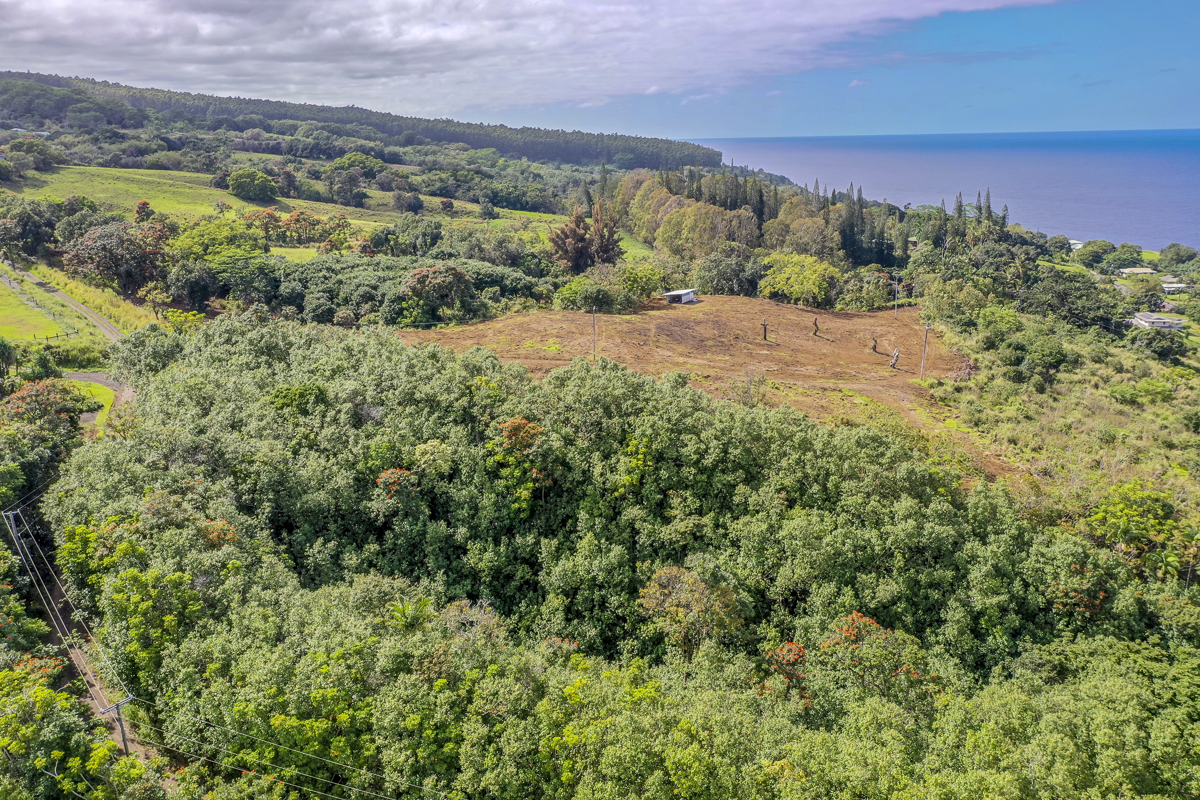 32-360 Lot 1-b Kapena Road Ninole, HI 96773 - Photo 21 of 29 an aerial view of a houses with a yard