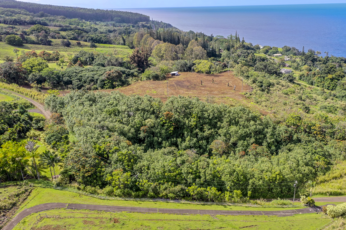 32-360 Lot 1-b Kapena Road Ninole, HI 96773 - Photo 22 of 29 a view of a yard with a house