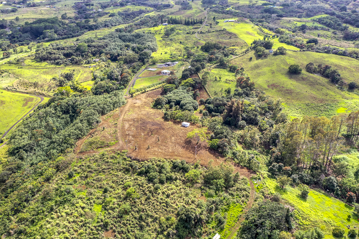 32-360 Lot 1-b Kapena Road Ninole, HI 96773 - Photo 23 of 29 a view of a garden with plants