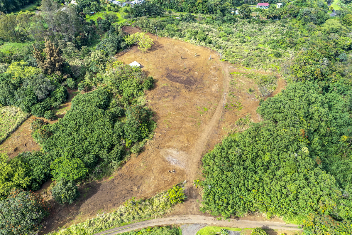 32-360 Lot 1-b Kapena Road Ninole, HI 96773 - Photo 27 of 29 a view of a yard with plants and large trees