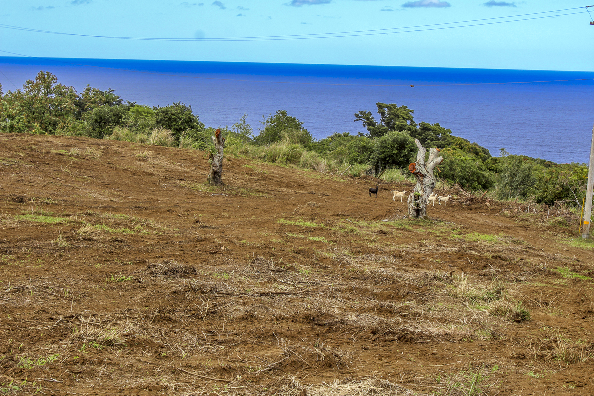 32-360 Lot 1-b Kapena Road Ninole, HI 96773 - Photo 6 of 29 a view of a yard with an ocean