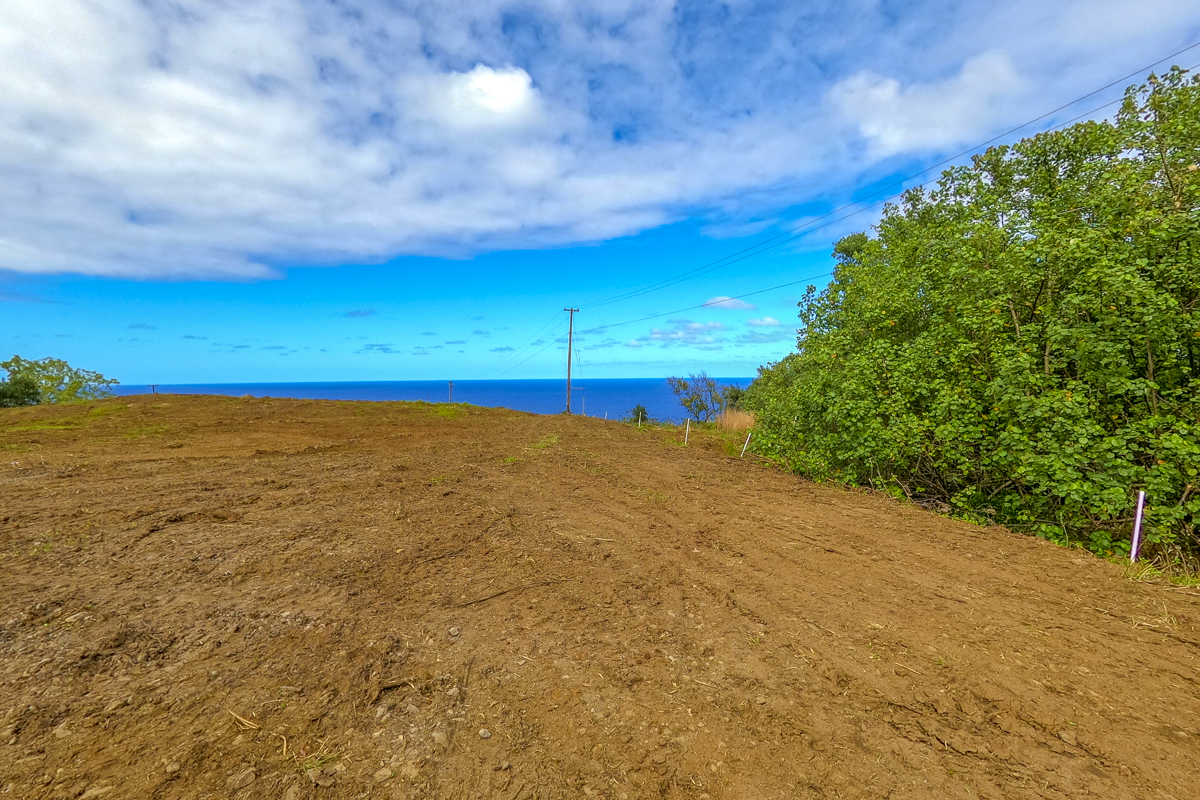 32-360 Lot 1-b Kapena Road Ninole, HI 96773 - Photo 7 of 29 a view of a big yard
