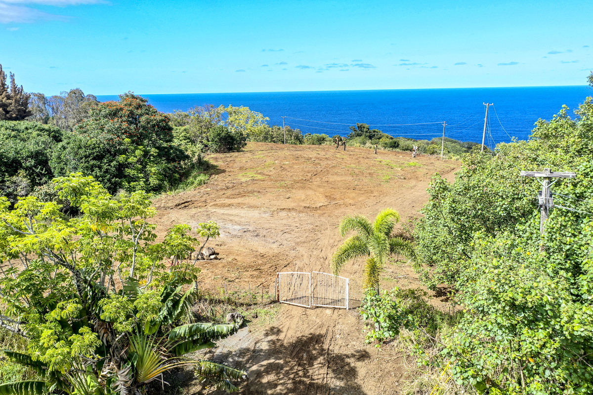 32-360 Lot 1-b Kapena Road Ninole, HI 96773 - Photo 8 of 29 a view of a yard