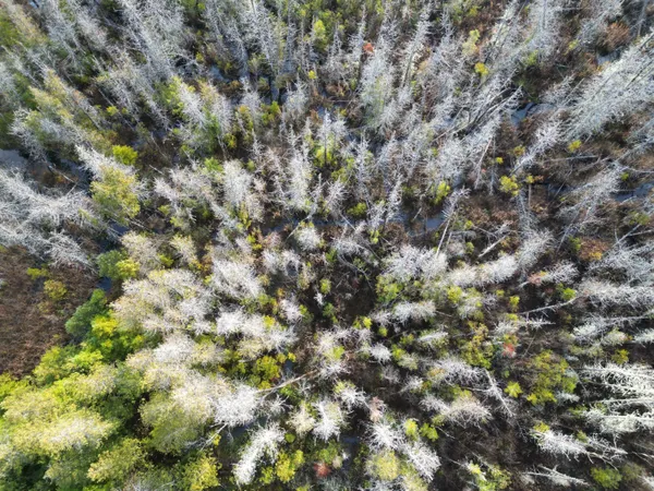 $42,500 | 22 Sugarbush Lane, Lee, ME 04455