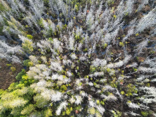 $42,500 | 22 Sugarbush Lane, Lee, ME 04455