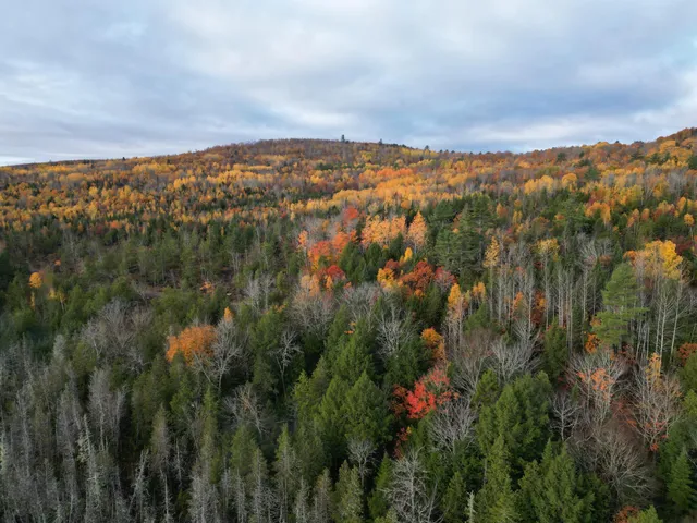$42,500 | 22 Sugarbush Lane, Lee, ME 04455