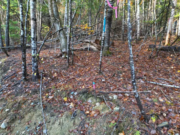 $42,500 | 22 Sugarbush Lane, Lee, ME 04455