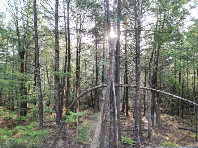 $42,500 | 22 Sugarbush Lane, Lee, ME 04455