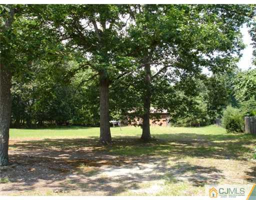 800 Farmingdale Road Jackson, NJ 08527 - Photo 2 of 22 a view of yard with tree