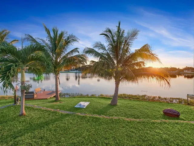 a view of a yard with palm trees