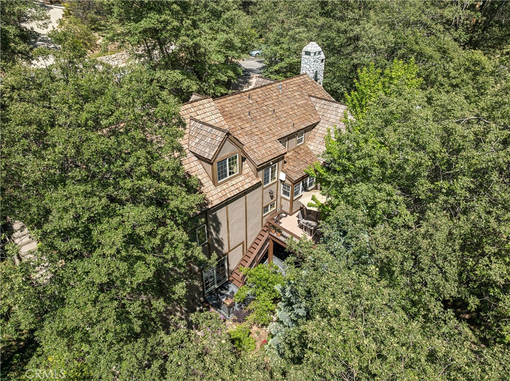 28971 North Shore Road Lake Arrowhead, CA 92352 - Photo 5 of 60