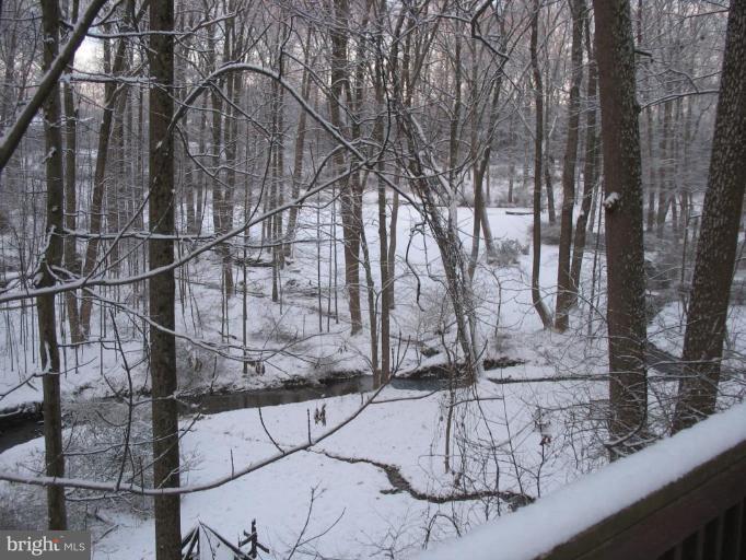 1708 Laurel Brook Road Fallston, MD 21047 - Photo 22 of 28 Wooded View / Acreage