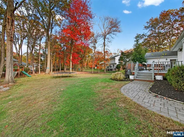 a view of a park with palm trees