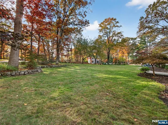 a view of a field with trees