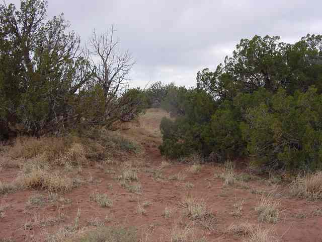 8511 Reata Lane Snowflake, AZ 85937 - Photo 2 of 5