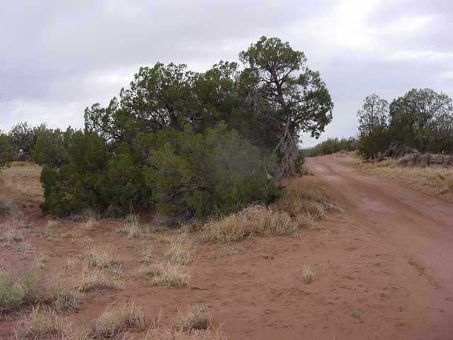 8511 Reata Lane Snowflake, AZ 85937 - Photo 4 of 5