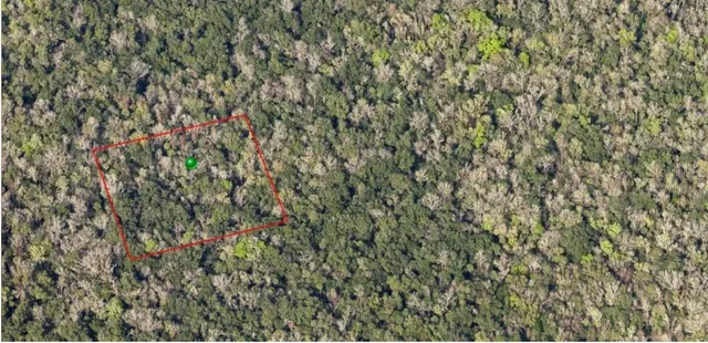 $10,000 | 0 Reed Grove Road, Oak Hill, FL 32759