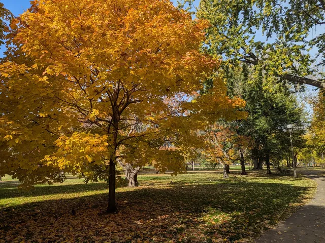 $684,000 | 6734 North Campbell Avenue, Chicago, IL 60645