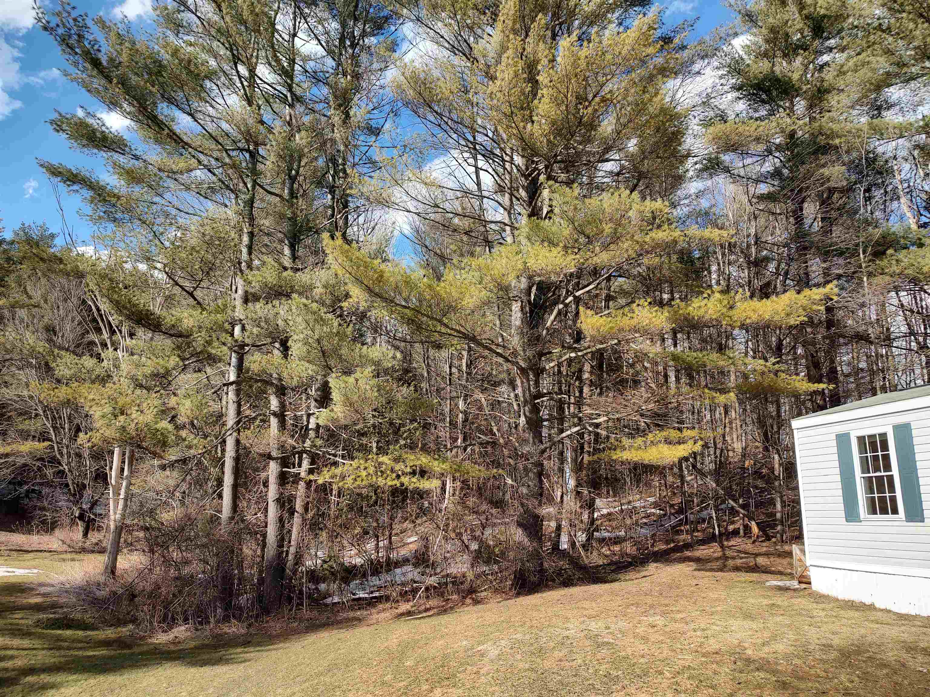 61 Turner Hill Road, Unit 5 Berlin, VT 05602 - Photo 24 of 34 Gallery Image 24
