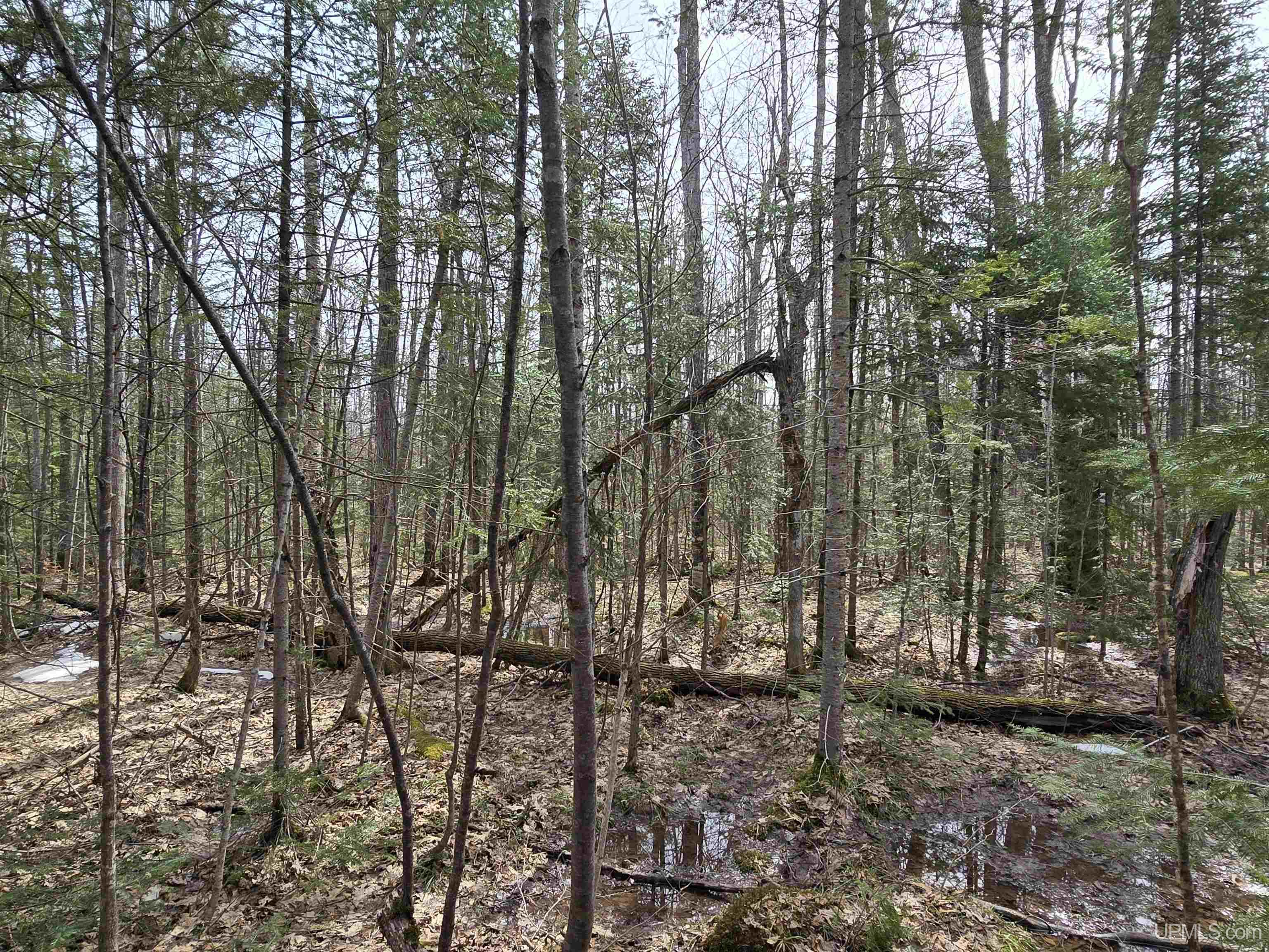 Tbd Woodspur Road Ontonagon, MI 49953 - Photo 34 of 46