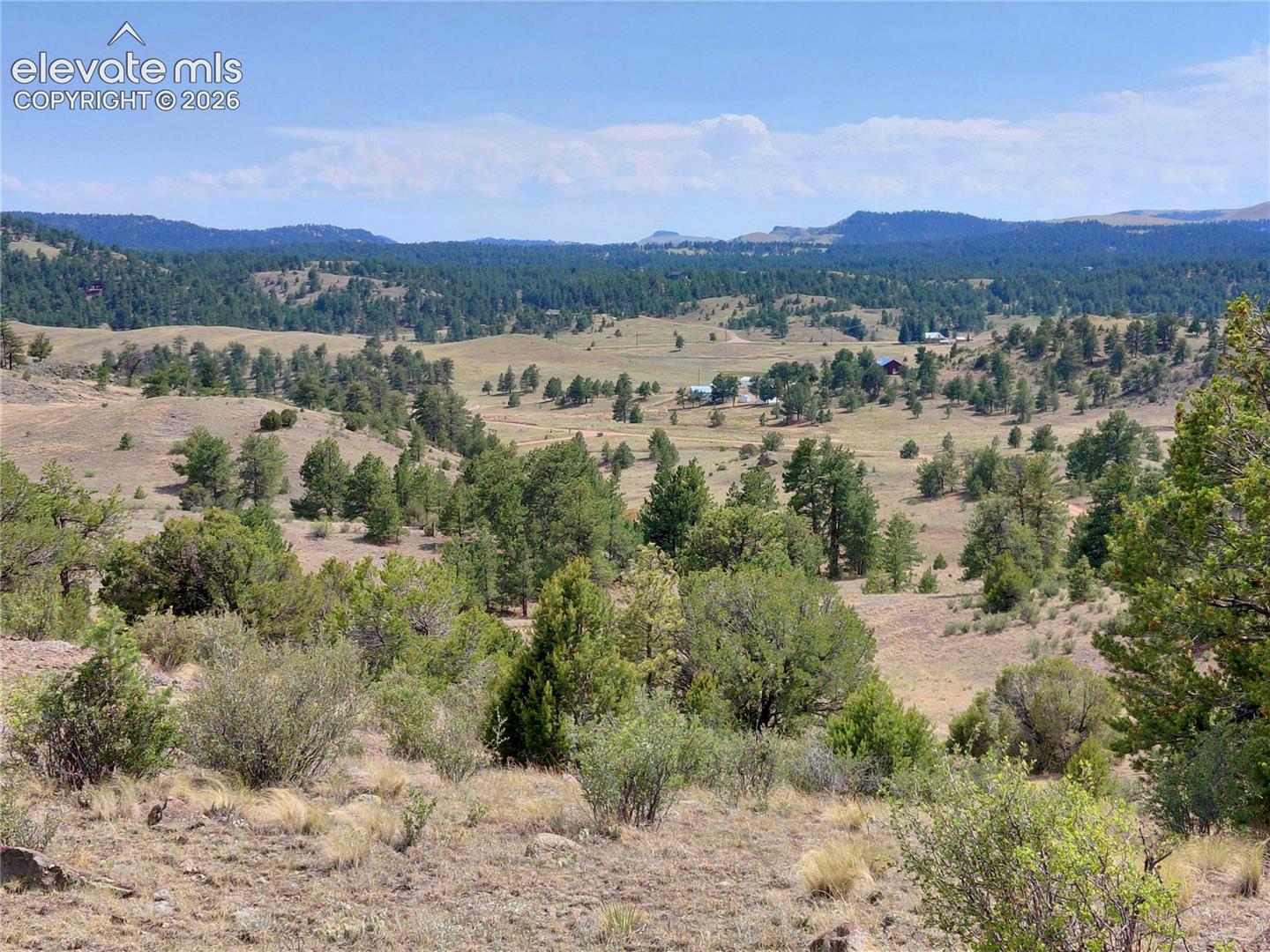 70 Owls Nest Road Guffey, CO 80820 - Photo 7 of 26 Gallery Image 7