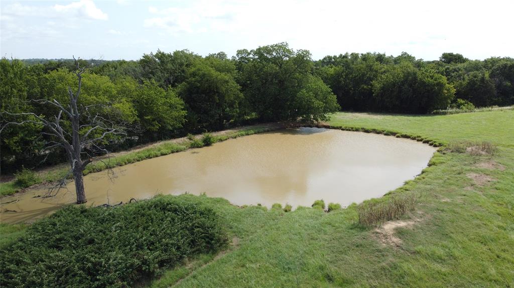 11742 Dane Road Pilot Point, TX 76258 - Photo 13 of 36 a view of a backyard