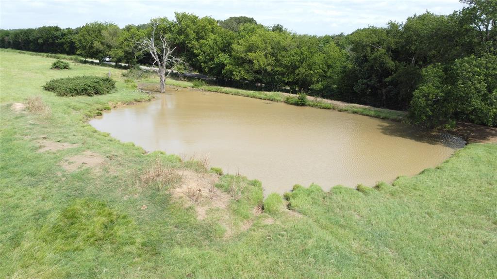 11742 Dane Road Pilot Point, TX 76258 - Photo 14 of 36 a view of a yard with a tree