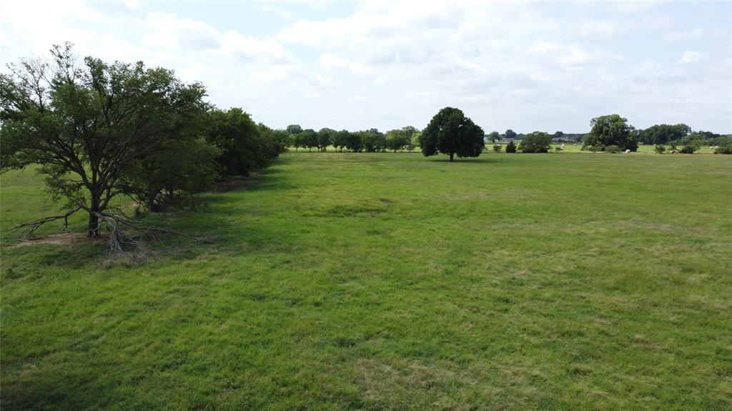 11742 Dane Road Pilot Point, TX 76258 - Photo 18 of 36 a view of a grassy field with an trees