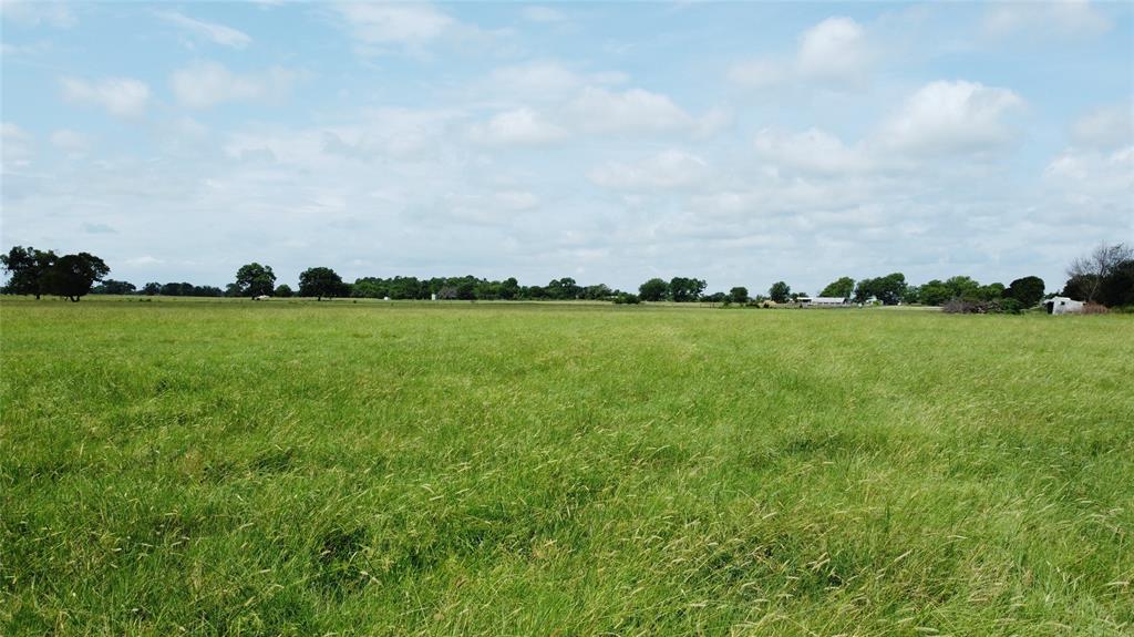 11742 Dane Road Pilot Point, TX 76258 - Photo 22 of 36 a big yard with lots of green space and fence