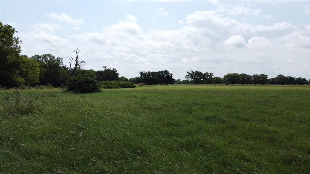 11742 Dane Road Pilot Point, TX 76258 - Photo 24 of 36 a view of a green field with wooden fence