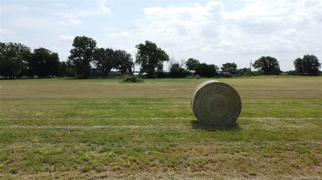 11742 Dane Road Pilot Point, TX 76258 - Photo 36 of 36 a view of a garden
