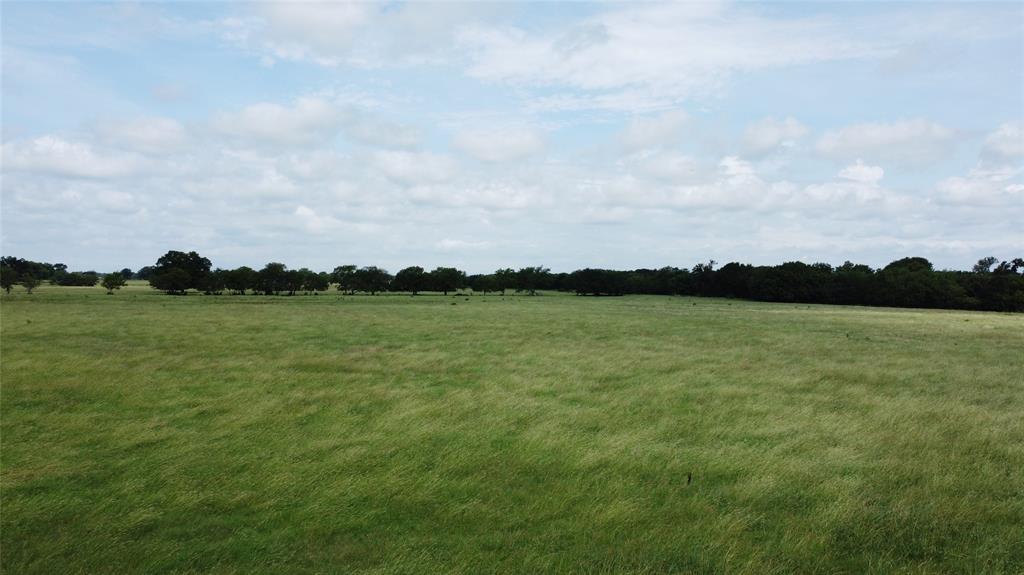 11742 Dane Road Pilot Point, TX 76258 - Photo 4 of 36 a view of lake and city view