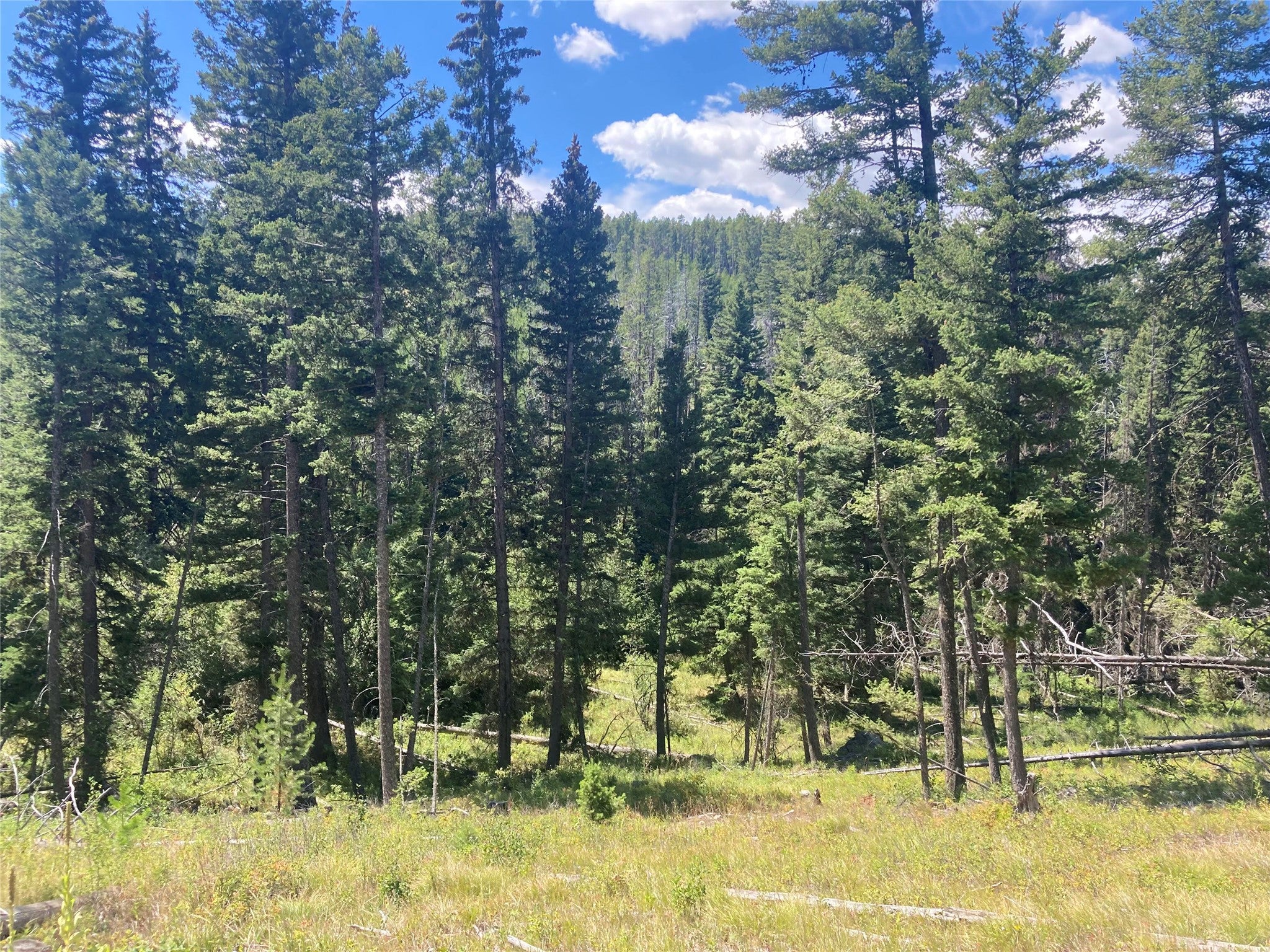 3595 Bear Gulch Road Lincoln, MT 59639 - Photo 11 of 57 Gallery Image 11