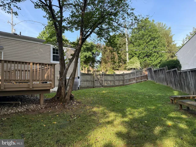 a view of backyard with tree