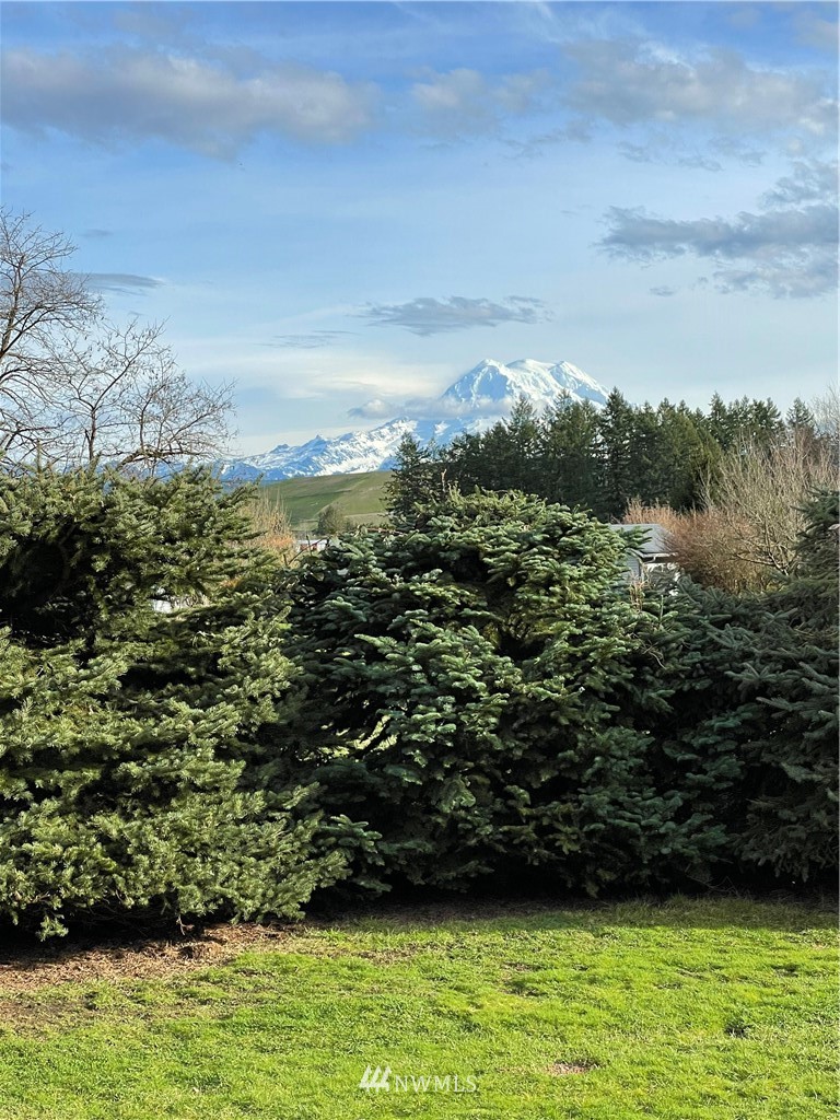 30719 Webster Road East Eatonville, WA 98328 - Photo 34 of 39 a view of outdoor space with mountain view