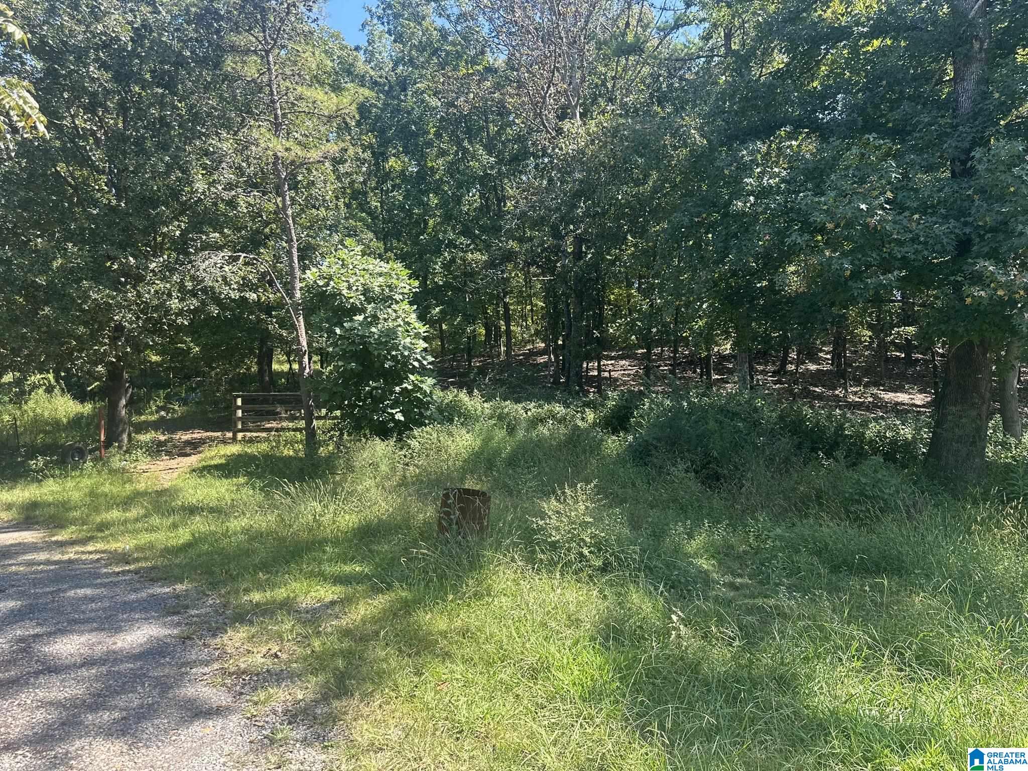 8 Blue Ridge Drive Talladega, AL 35160 - Photo 1 of 24