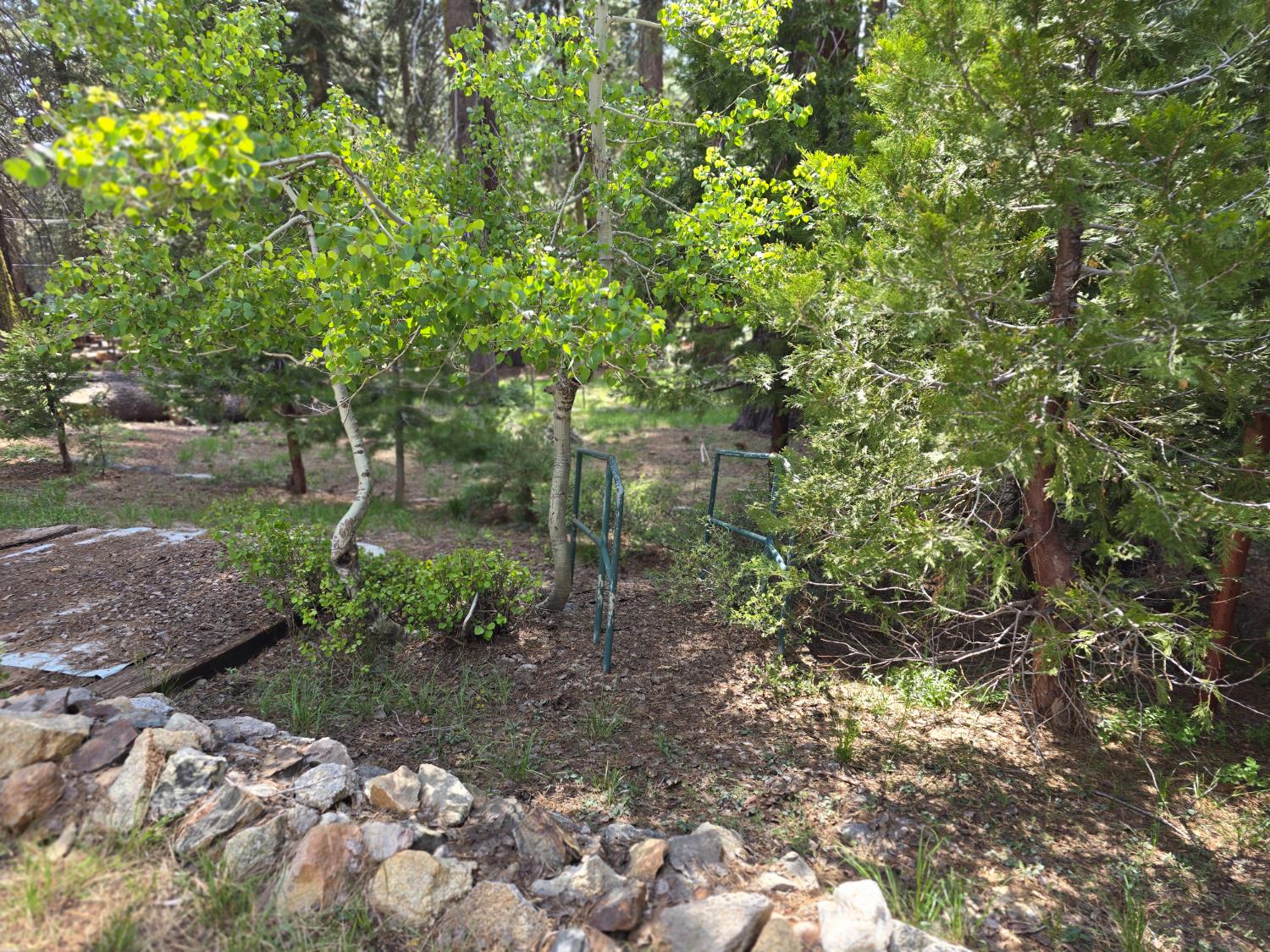 83703 Hazel Lane Wilsonia, CA 93633 - Photo 18 of 22 a backyard of a house with lots of green space