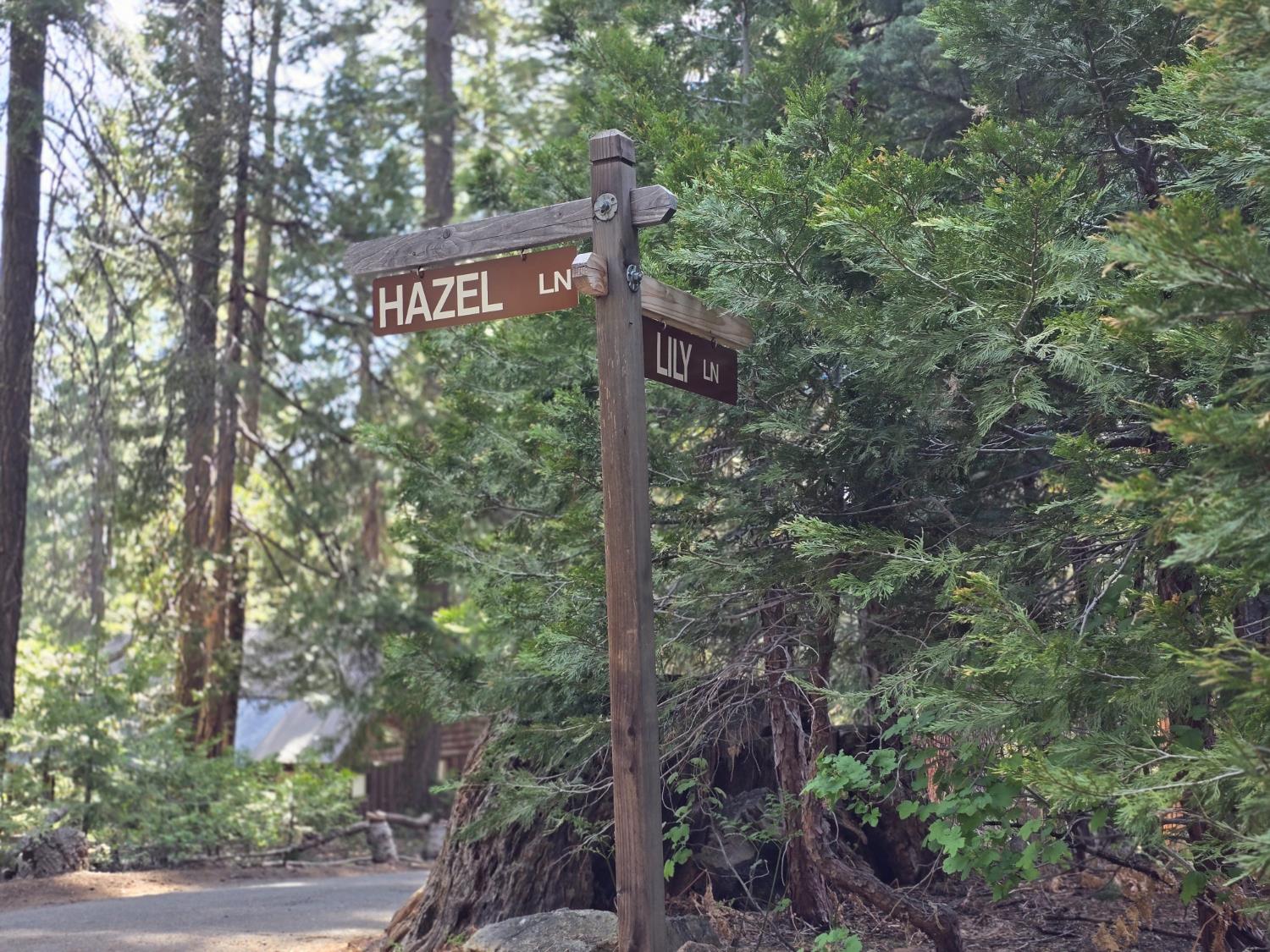 83703 Hazel Lane Wilsonia, CA 93633 - Photo 22 of 22 a sign that is sitting in the forest